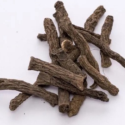 Thuốc bổ thận: Tiên mao