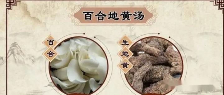 Bách hợp địa hoàng thang