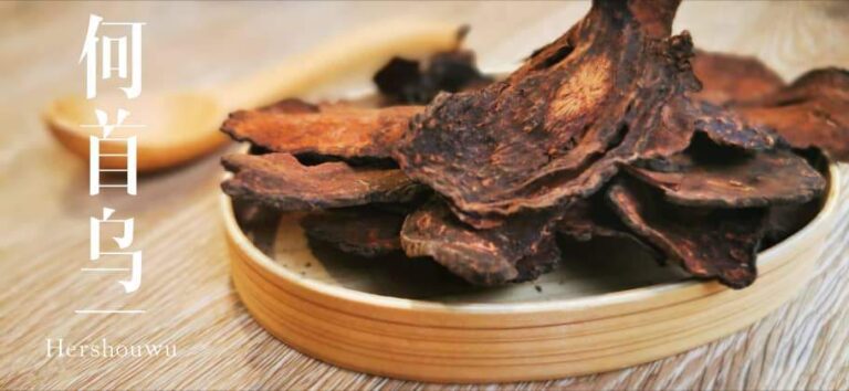 Hà thủ ô bổ âm mà không hàn không trệ, ôn dương mà không táo không nhiệt