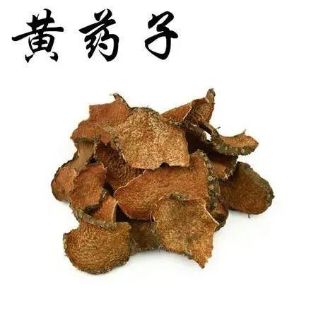 Hoàng dược tử giỏi lương huyết tán kết