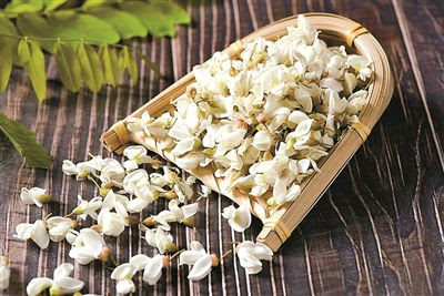 Hòe hoa giỏi lương huyết, đắp ngoài uống trong đều hiệu quả